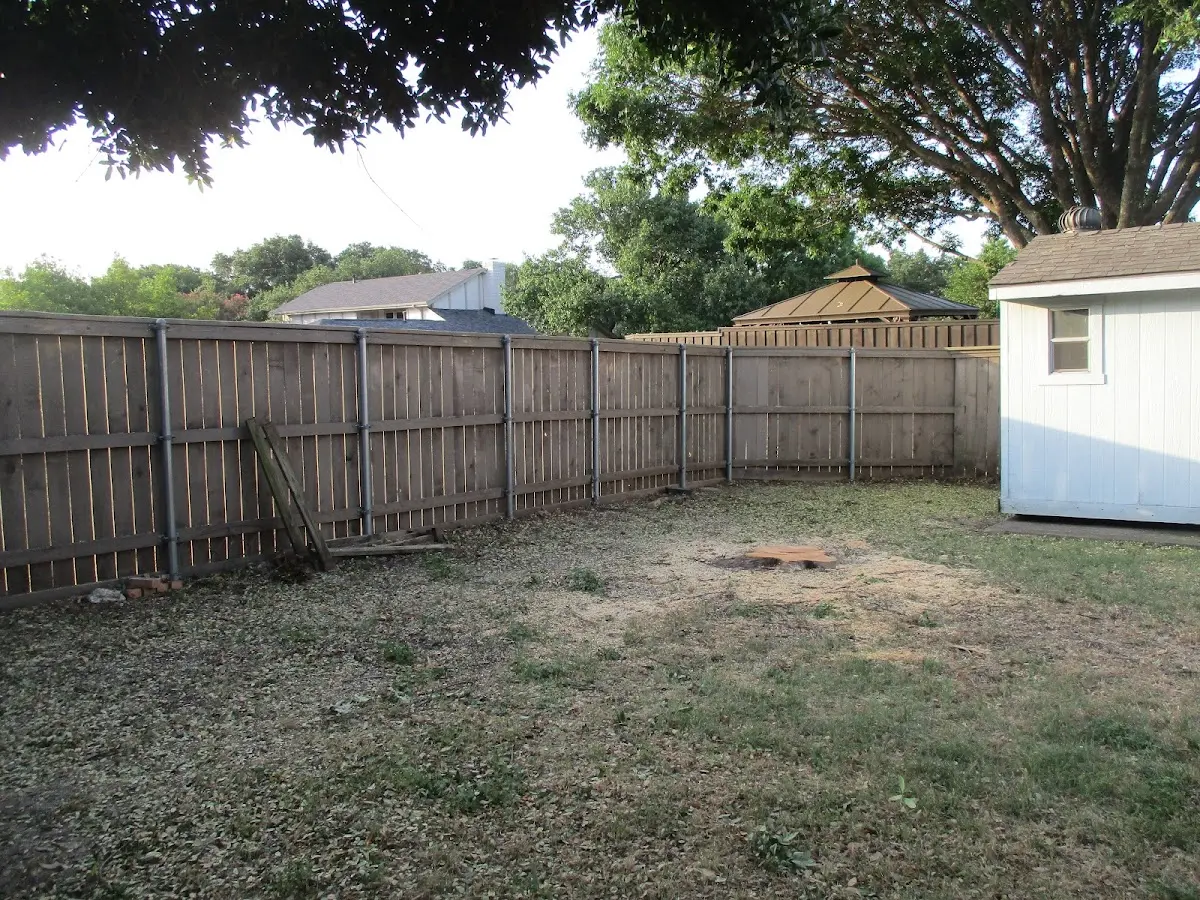 Cleared yard after professional tree removal in Milton Mills