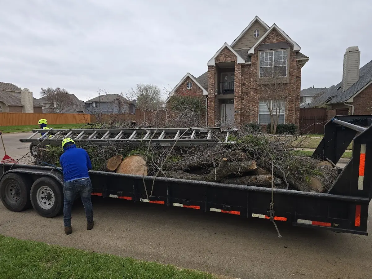 Expert Tree Fertilization with proper safety equipment in Milton Mills
